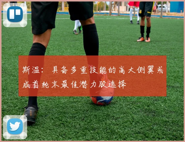 斯温：具备多重技能的高大侧翼或成首轮末最佳潜力股选择