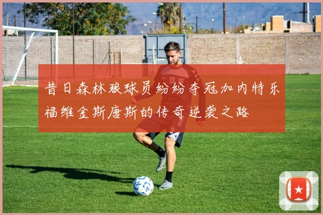 昔日森林狼球员纷纷夺冠加内特乐福维金斯唐斯的传奇逆袭之路