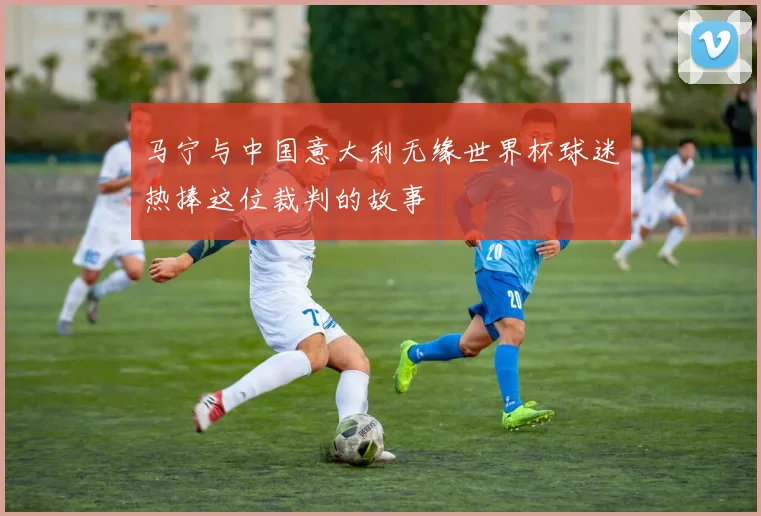 马宁与中国意大利无缘世界杯球迷热捧这位裁判的故事